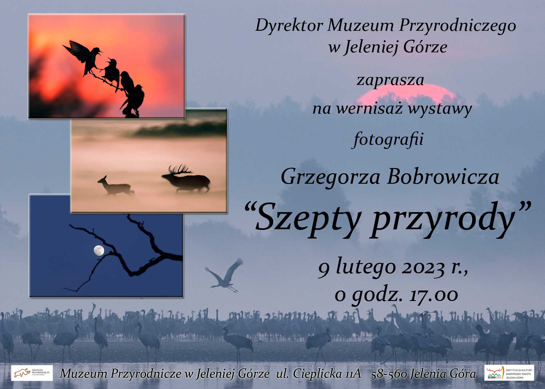 Zaproszenie Szepty przyrody