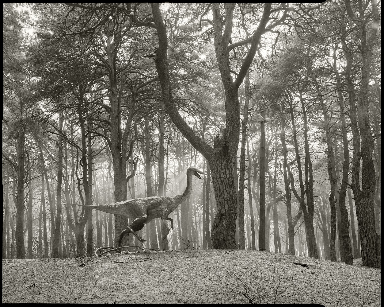 Rafał Swosiński Solec Kujawski 2017